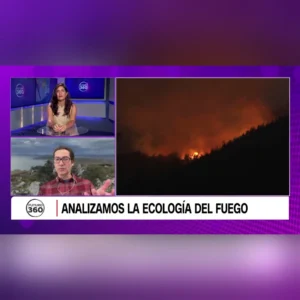 Entrevista con Andrés Holz por los incendios forestales